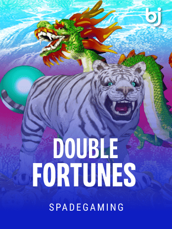 Double Fortunespng icon
